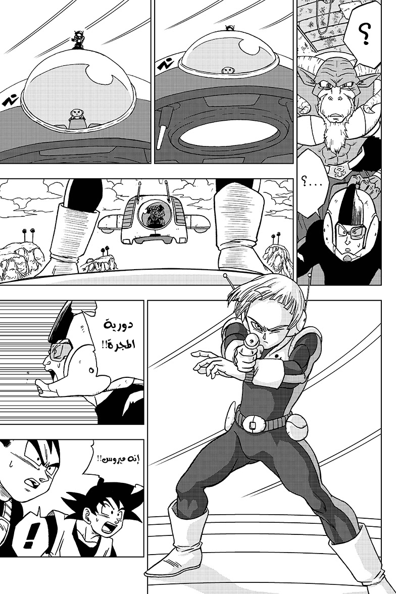 Dragon Ball Super: Chapter 47 - Page 19