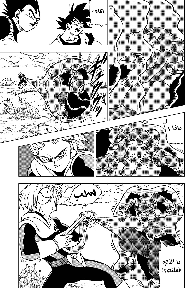 Dragon Ball Super: Chapter 47 - Page 25