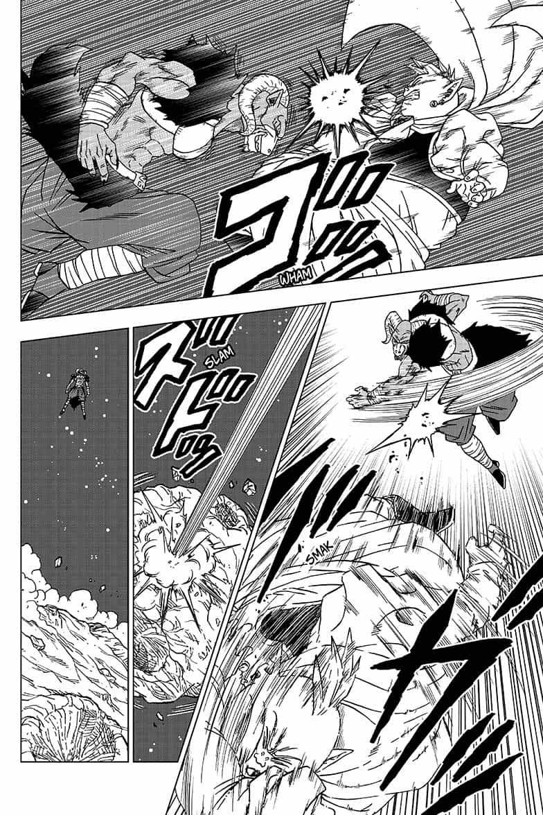 Dragon Ball Super: Chapter 49 - Page 17