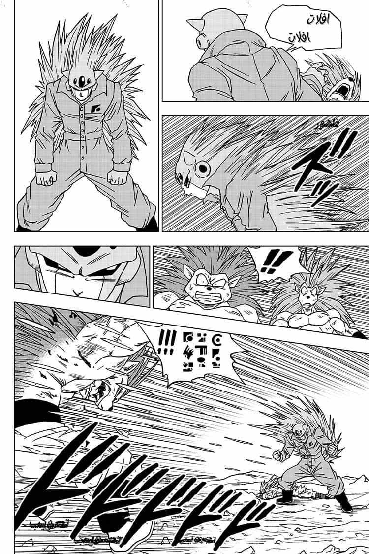 Dragon Ball Super: Chapter 53 - Page 13