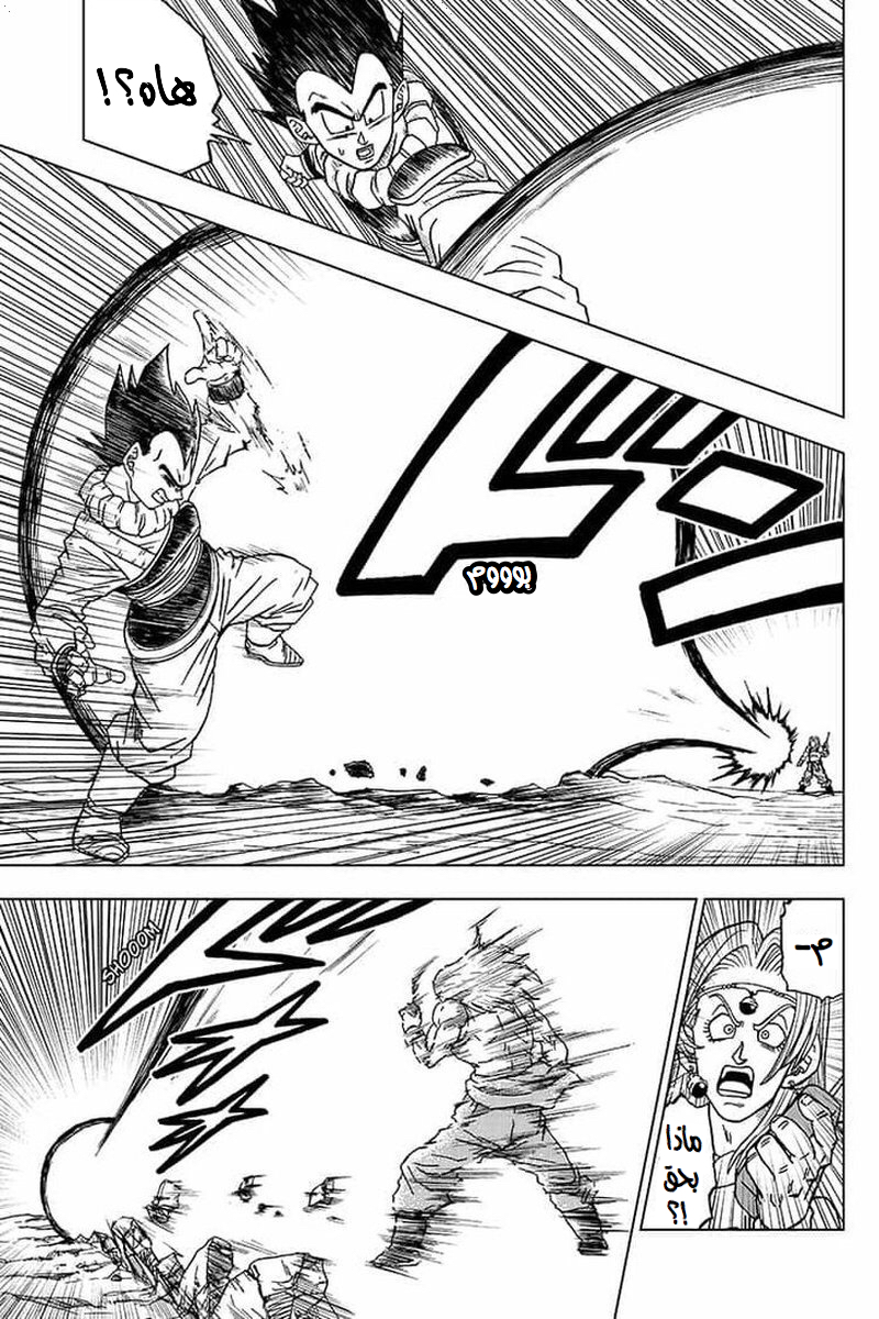 Dragon Ball Super: Chapter 55 - Page 14