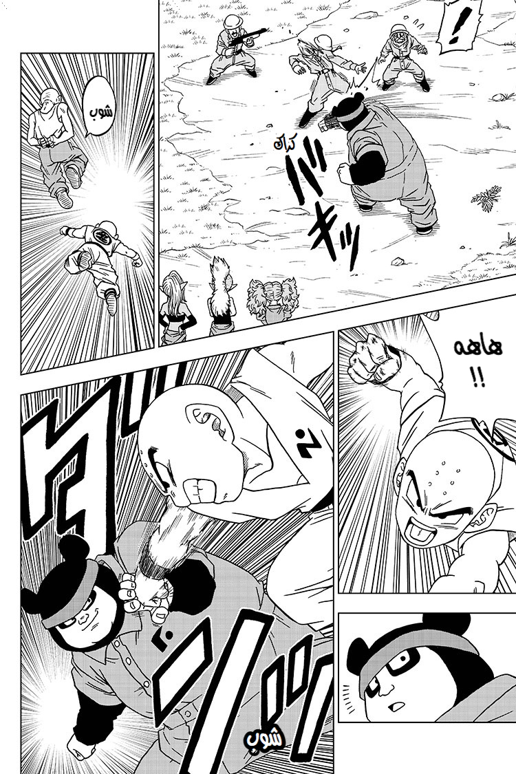 Dragon Ball Super: Chapter 56 - Page 15