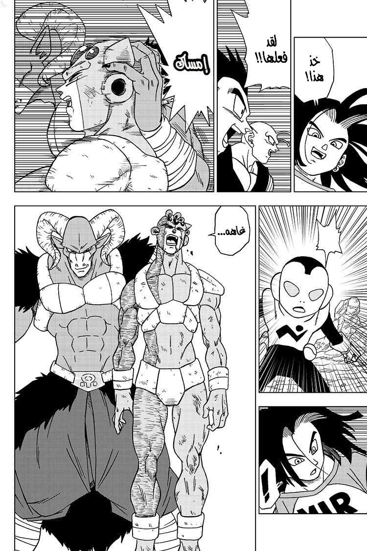 Dragon Ball Super: Chapter 57 - Page 29