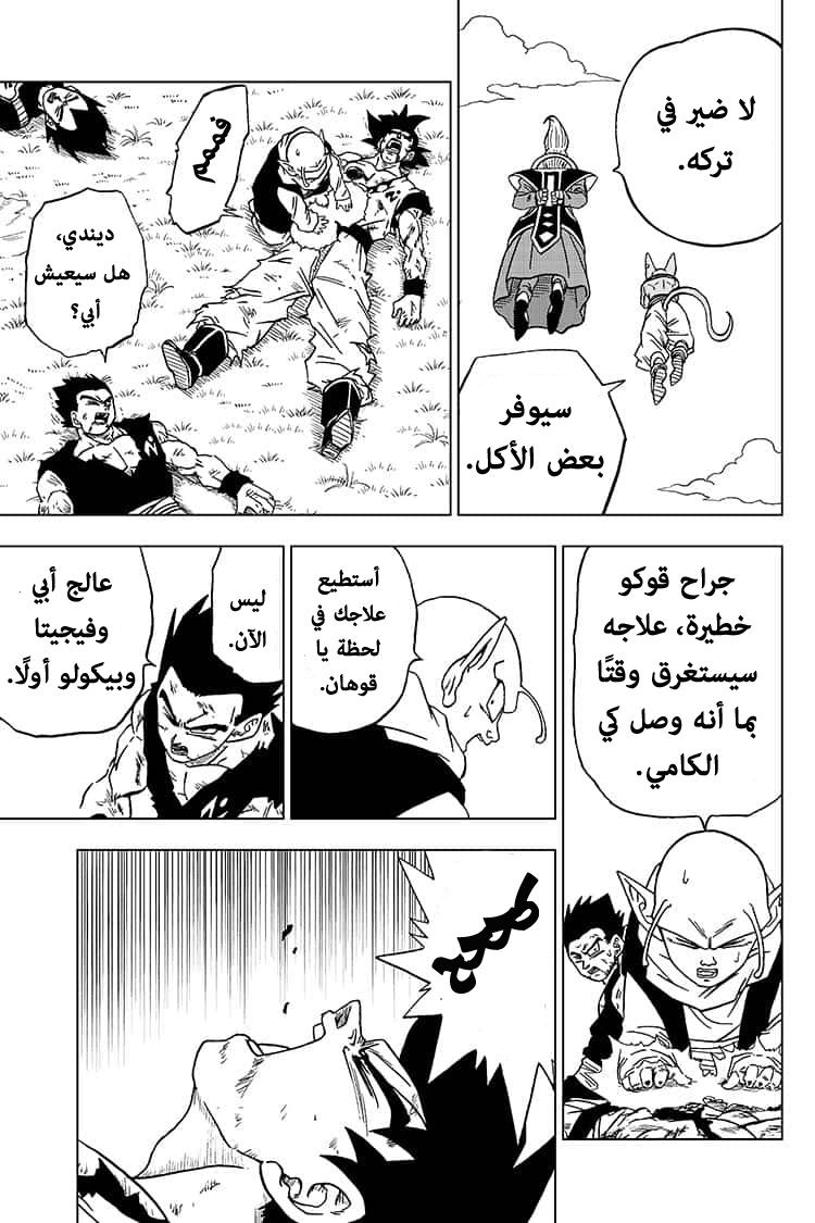 Dragon Ball Super: Chapter 63 - Page 14