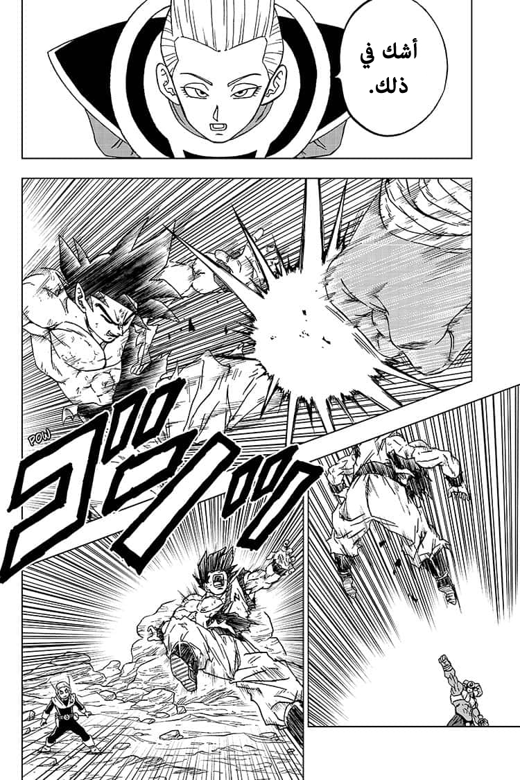 Dragon Ball Super: Chapter 63 - Page 25