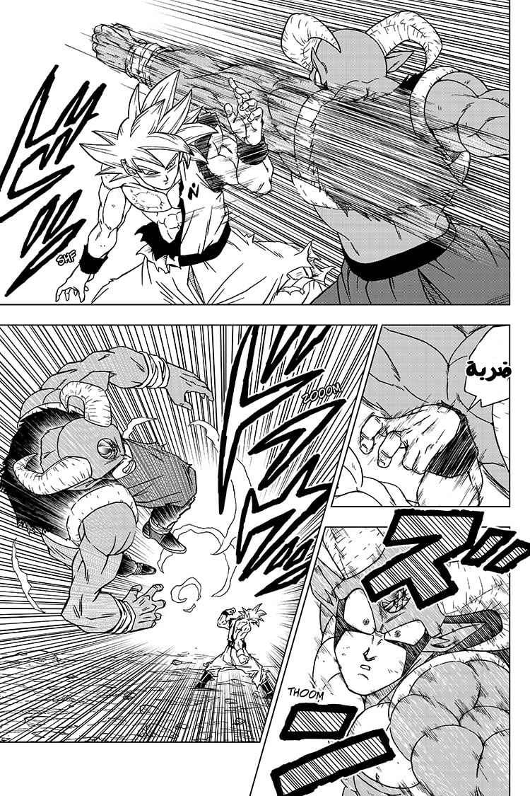 Dragon Ball Super: Chapter 64 - Page 17