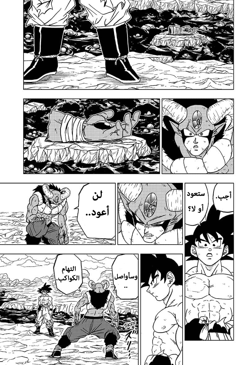 Dragon Ball Super: Chapter 65 - Page 13