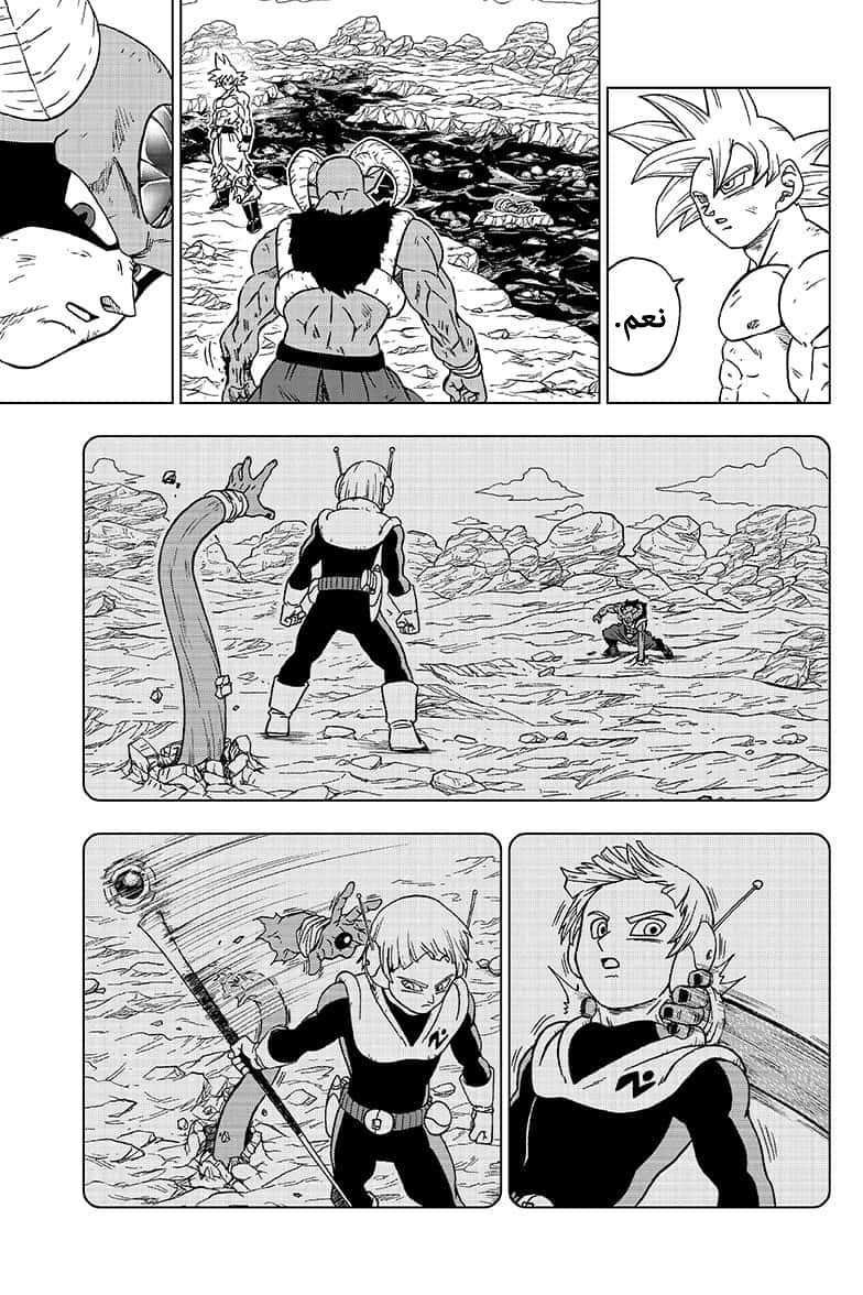 Dragon Ball Super: Chapter 65 - Page 15