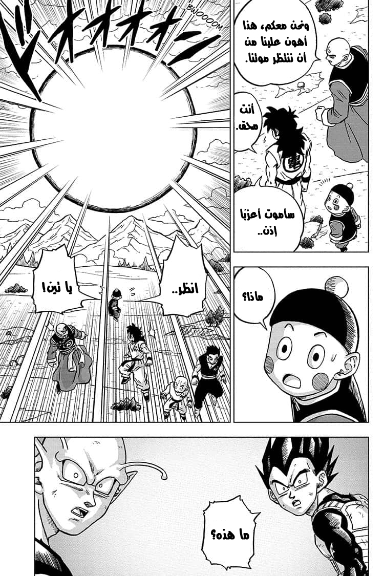 Dragon Ball Super: Chapter 66 - Page 30