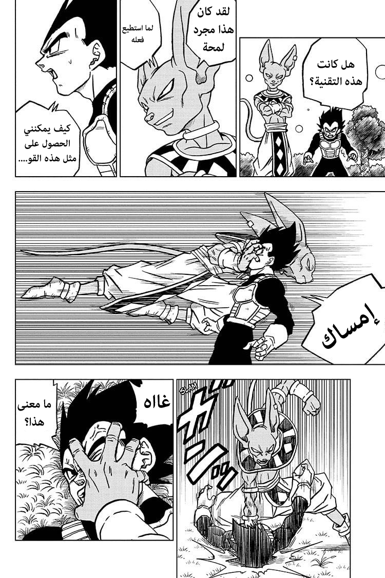 Dragon Ball Super: Chapter 69 - Page 15