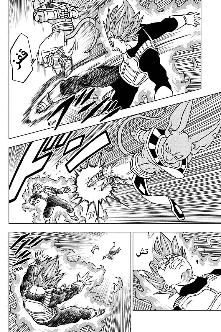 Dragon Ball Super: Chapter 69 - Page 21
