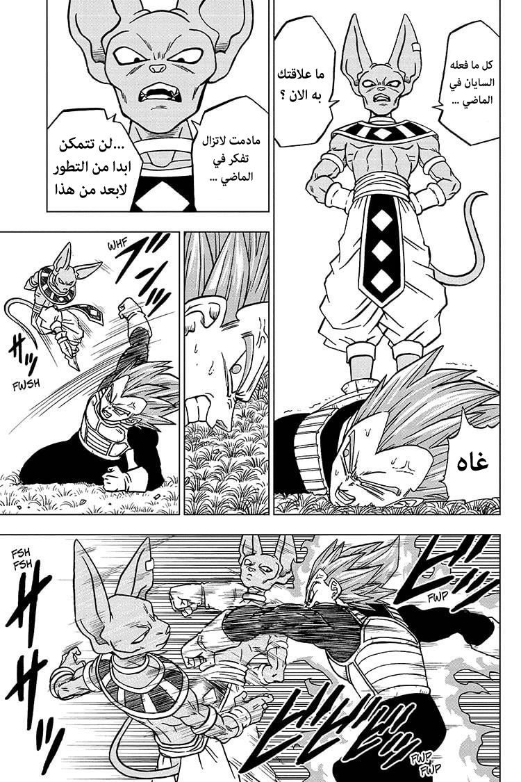 Dragon Ball Super: Chapter 69 - Page 24