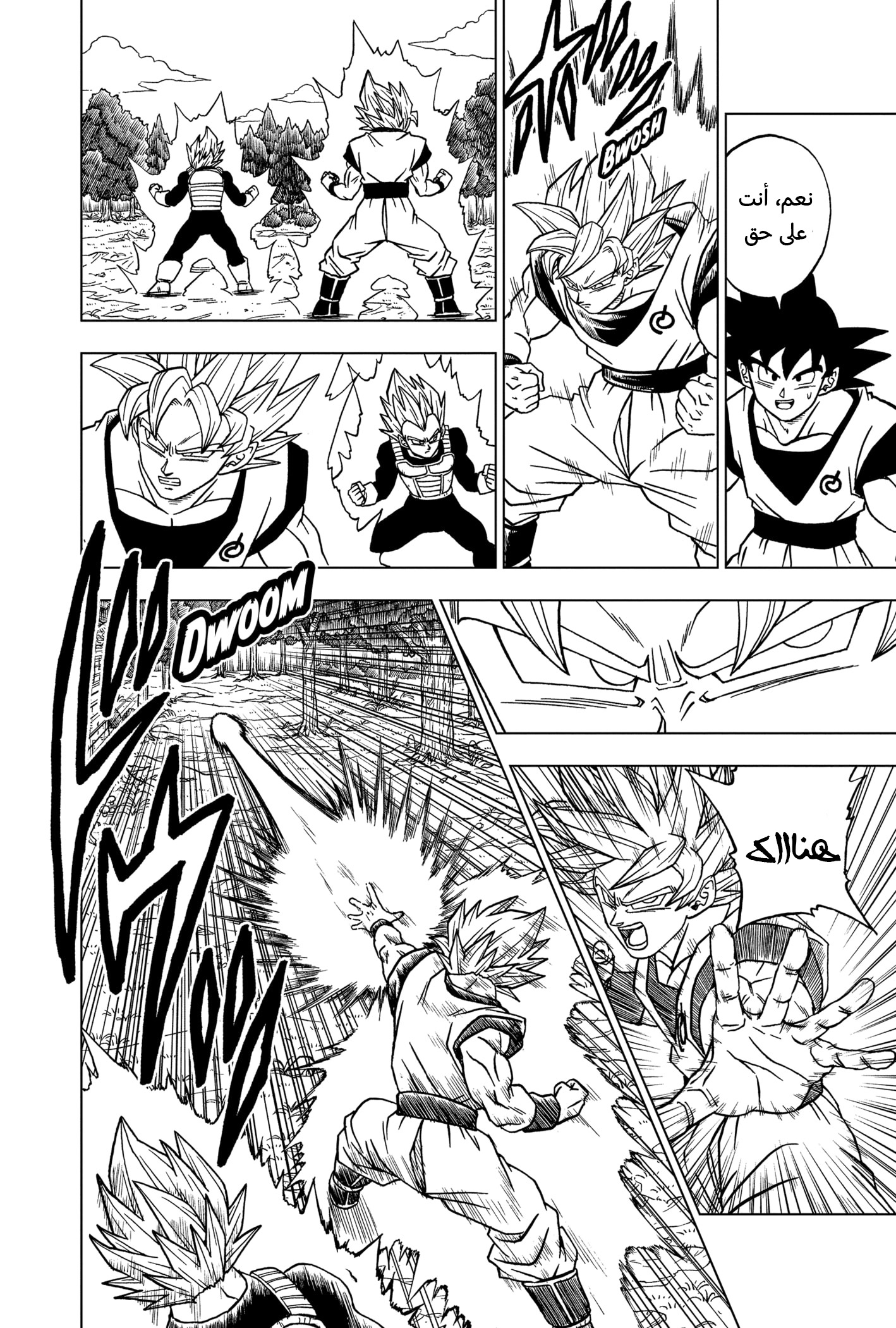 Dragon Ball Super: Chapter 72 - Page 17