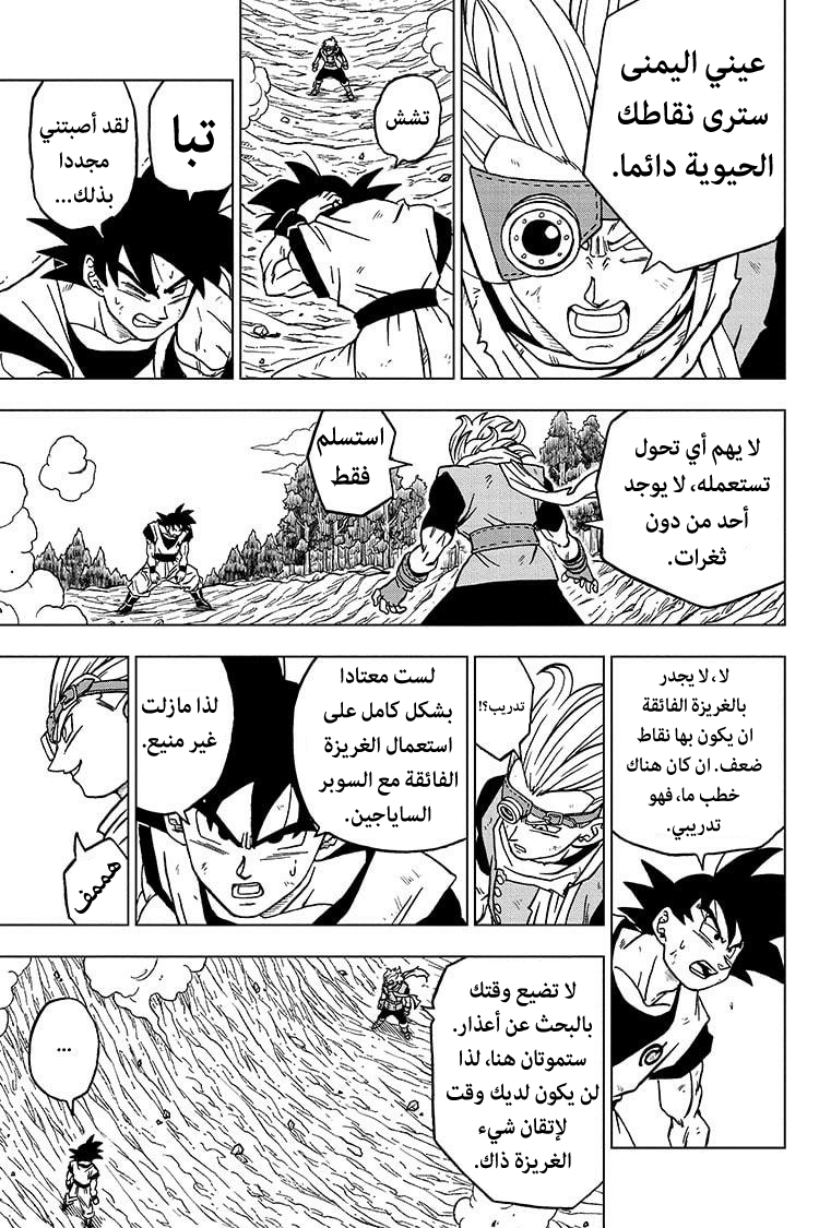 Dragon Ball Super: Chapter 73 - Page 18