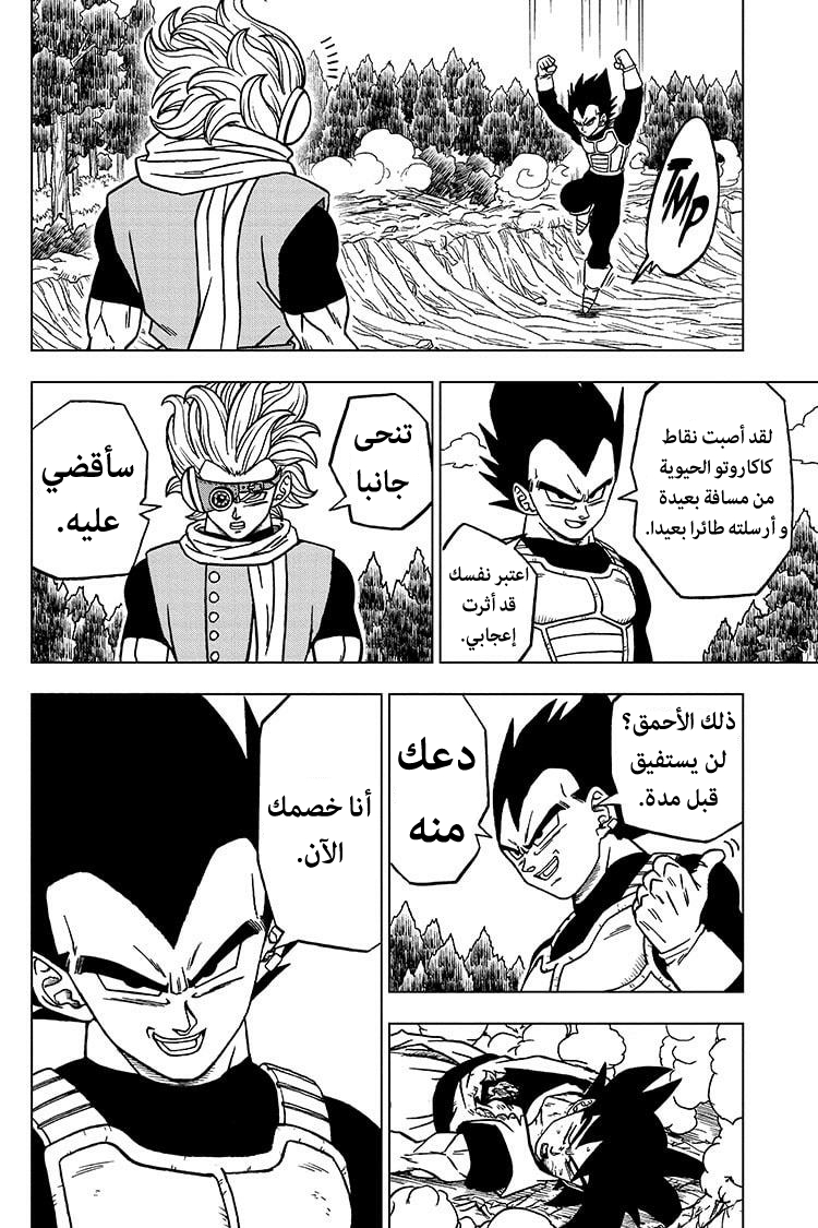 Dragon Ball Super: Chapter 73 - Page 43