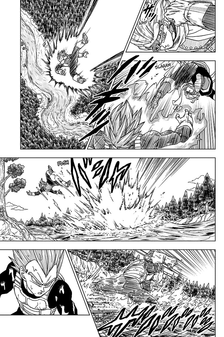 Dragon Ball Super: Chapter 74 - Page 13