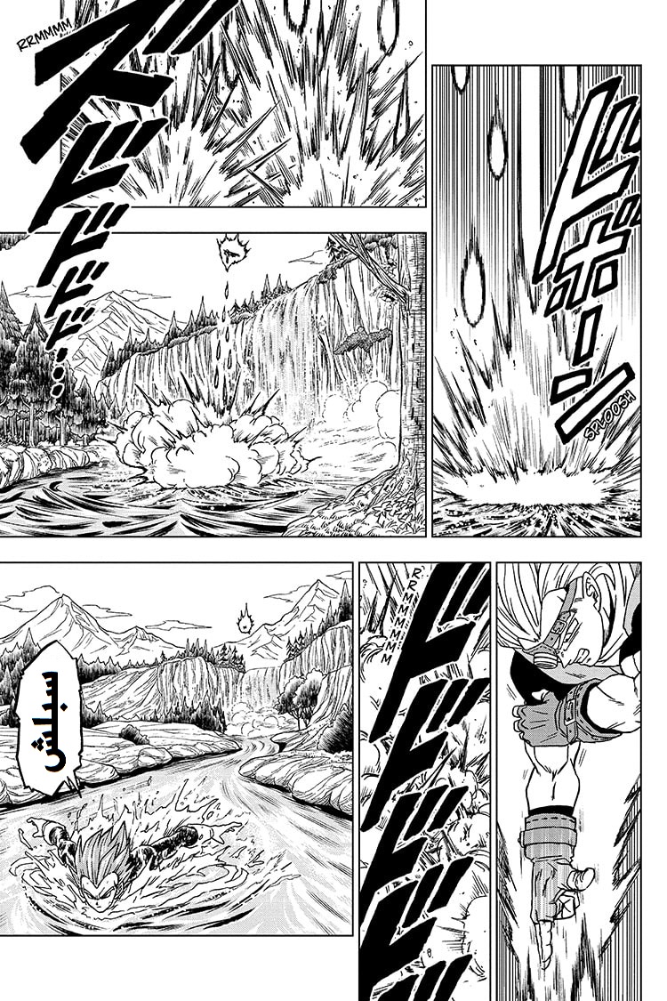 Dragon Ball Super: Chapter 74 - Page 19