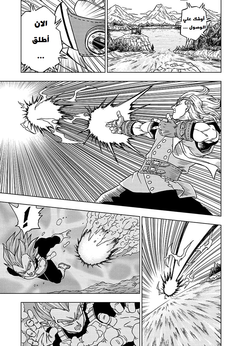 Dragon Ball Super: Chapter 74 - Page 21