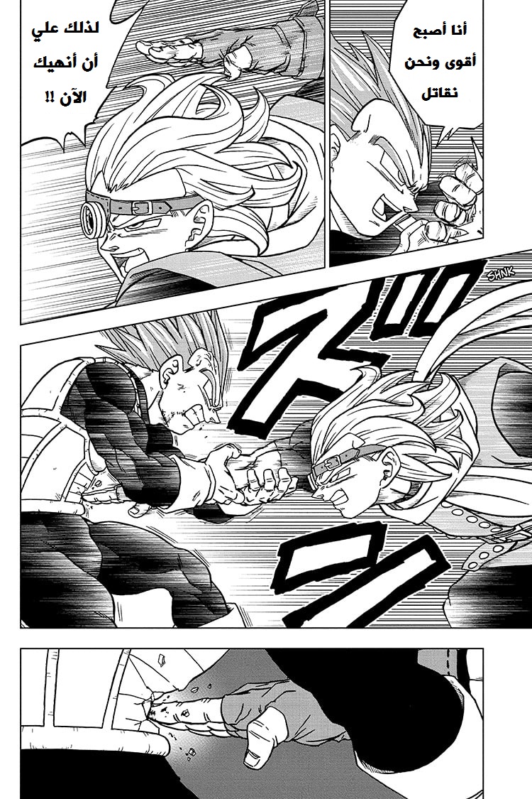 Dragon Ball Super: Chapter 74 - Page 38