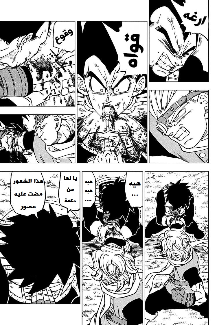 Dragon Ball Super: Chapter 74 - Page 39