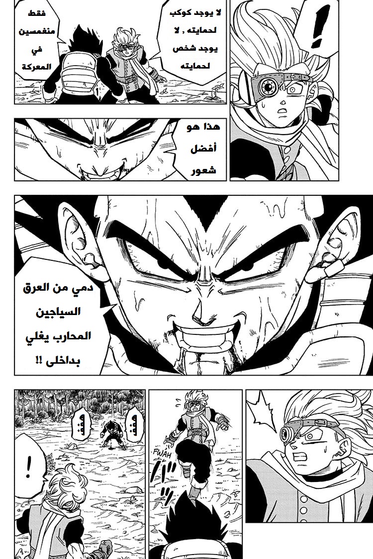 Dragon Ball Super: Chapter 74 - Page 40
