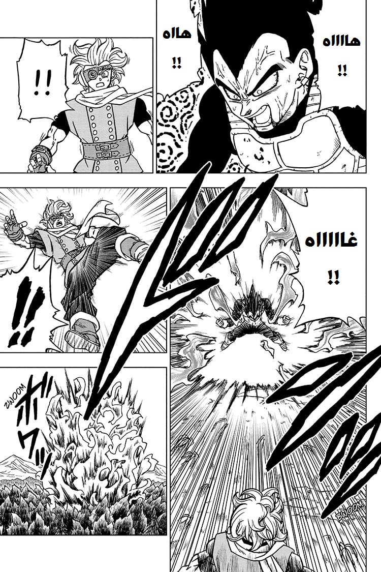 Dragon Ball Super: Chapter 74 - Page 41