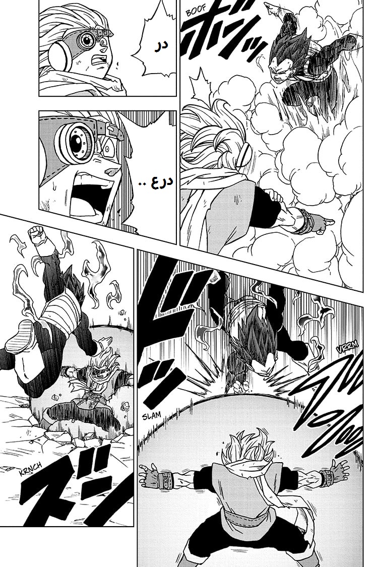 Dragon Ball Super: Chapter 75 - Page 15