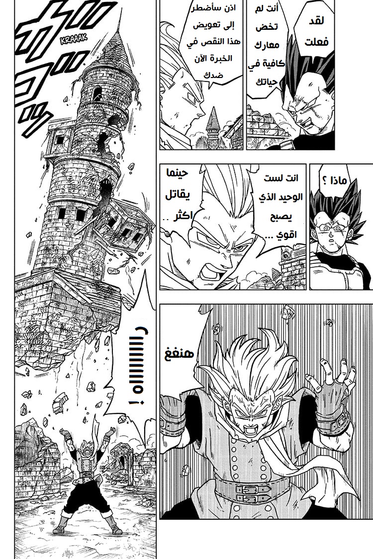 Dragon Ball Super: Chapter 75 - Page 24