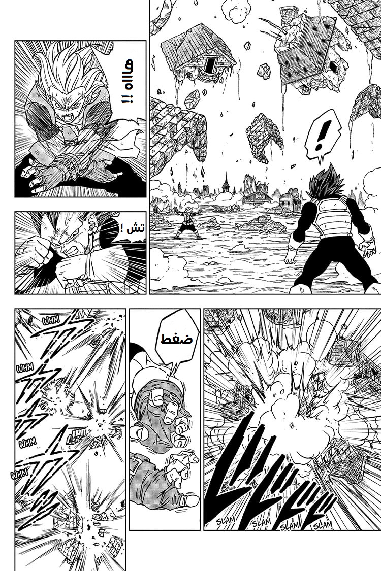 Dragon Ball Super: Chapter 75 - Page 26
