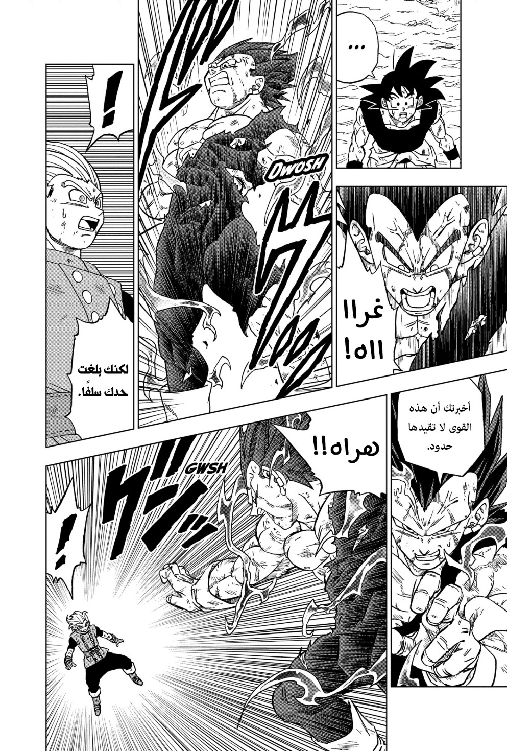 Dragon Ball Super: Chapter 76 - Page 25