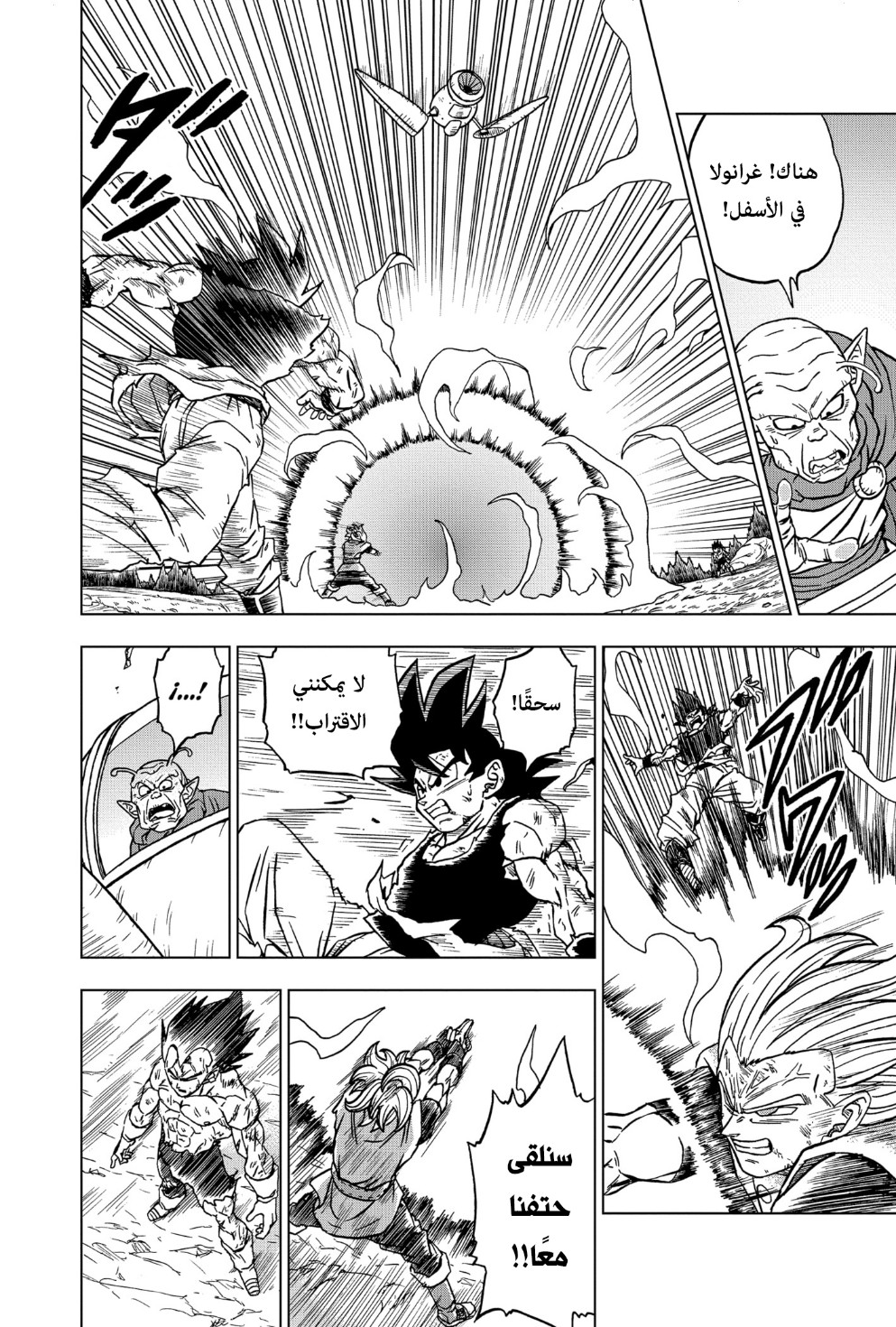 Dragon Ball Super: Chapter 76 - Page 41