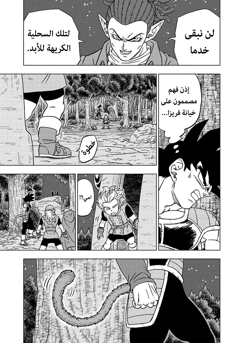 Dragon Ball Super: Chapter 77 - Page 33