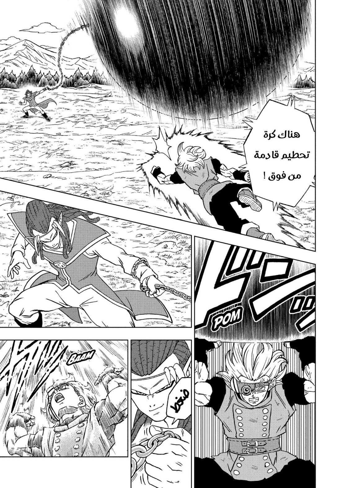 Dragon Ball Super: Chapter 79 - Page 18