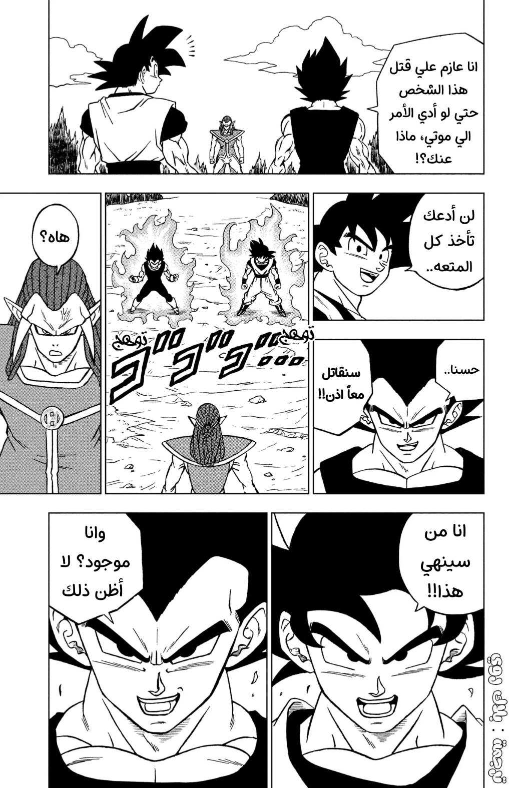 Dragon Ball Super: Chapter 84 - Page 13