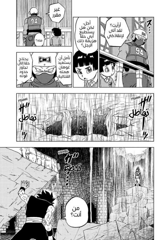 Dragon Ball Super: Chapter 94 - Page 29
