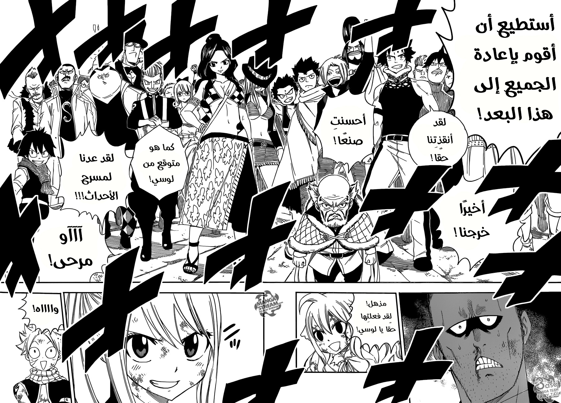 Fairy Tail: Chapter 479 - Page 12