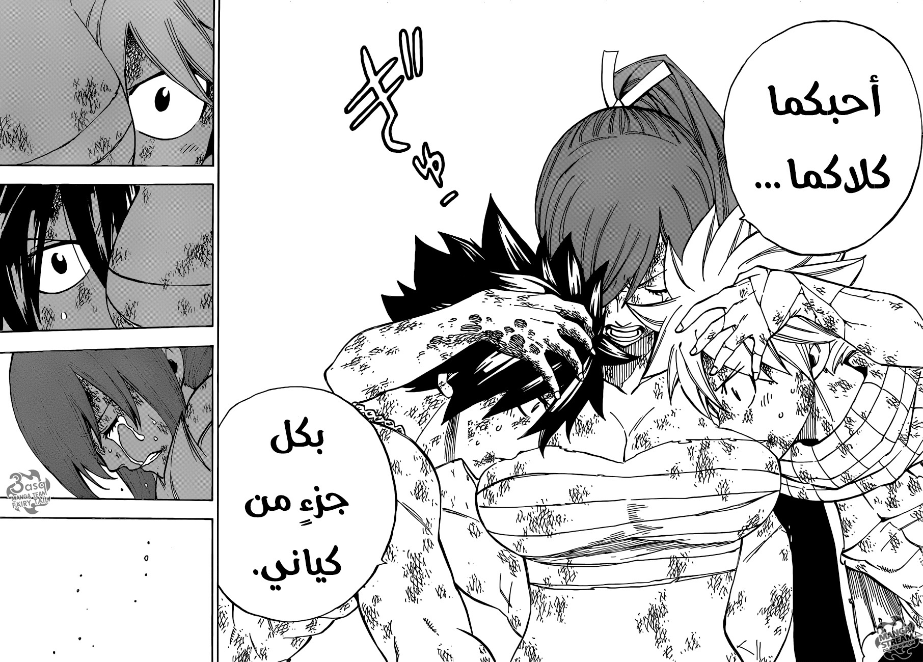 Fairy Tail: Chapter 507 - Page 9