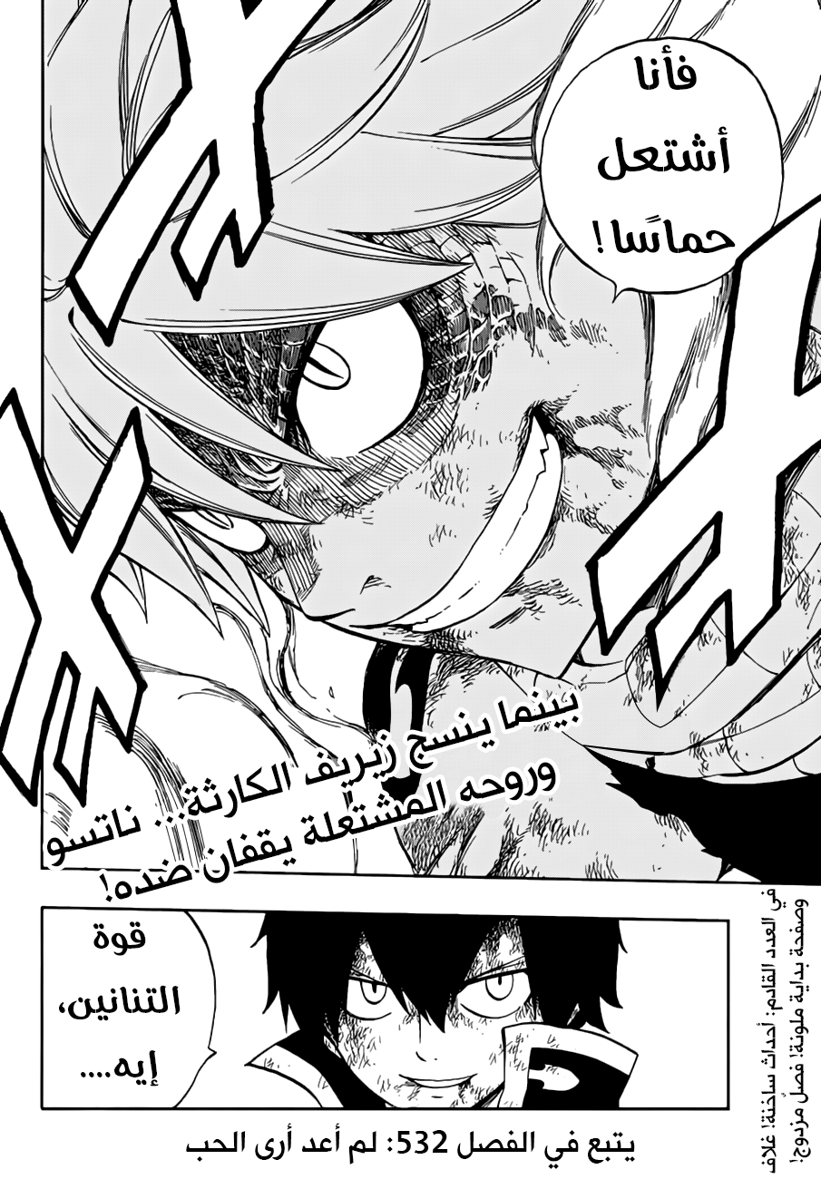 Fairy Tail: Chapter 531 - Page 21