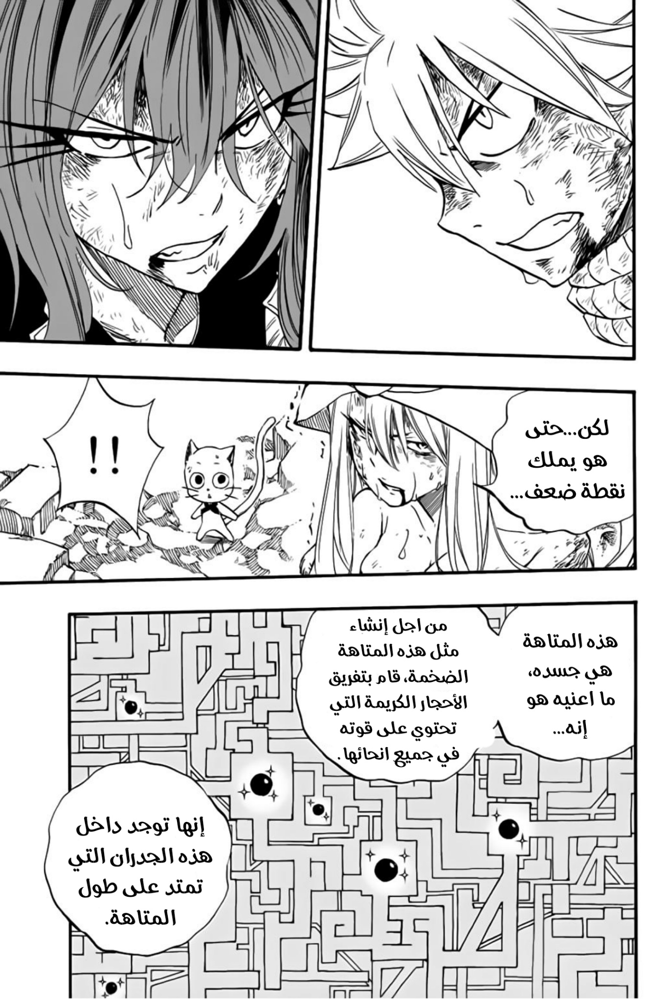 Fairy Tail 100 Years Quest: Chapter 111 - Page 14