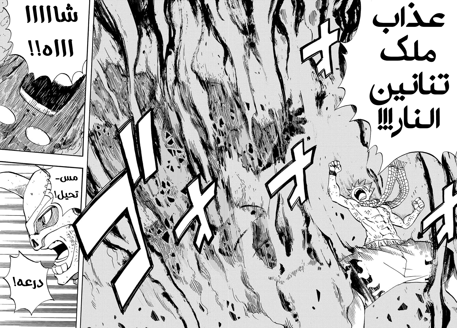 Fairy Tail 100 Years Quest: Chapter 15 - Page 18