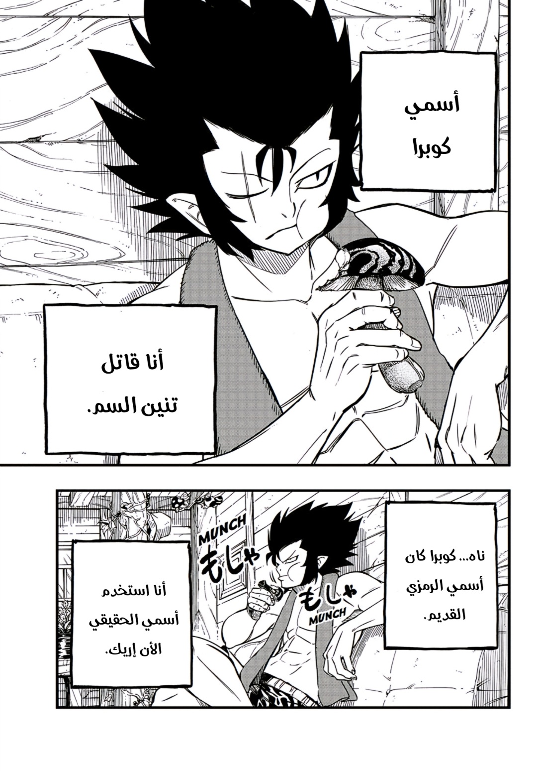 Fairy Tail 100 Years Quest: Chapter 154 - Page 4