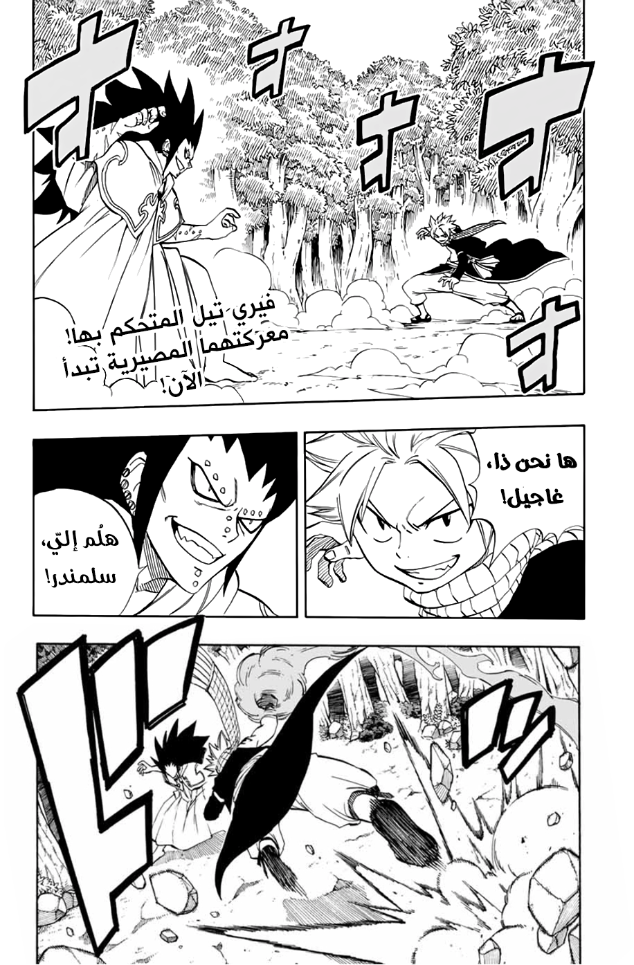 Fairy Tail 100 Years Quest: Chapter 31 - Page 2