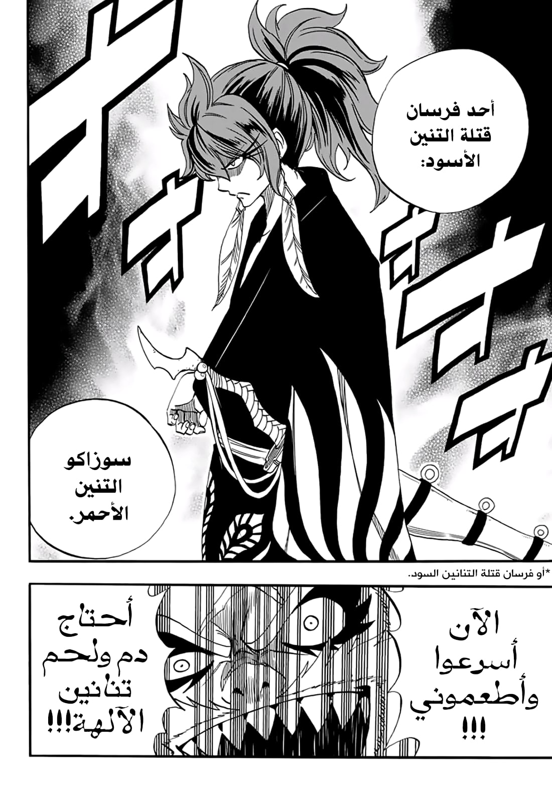 Fairy Tail 100 Years Quest: Chapter 63 - Page 10