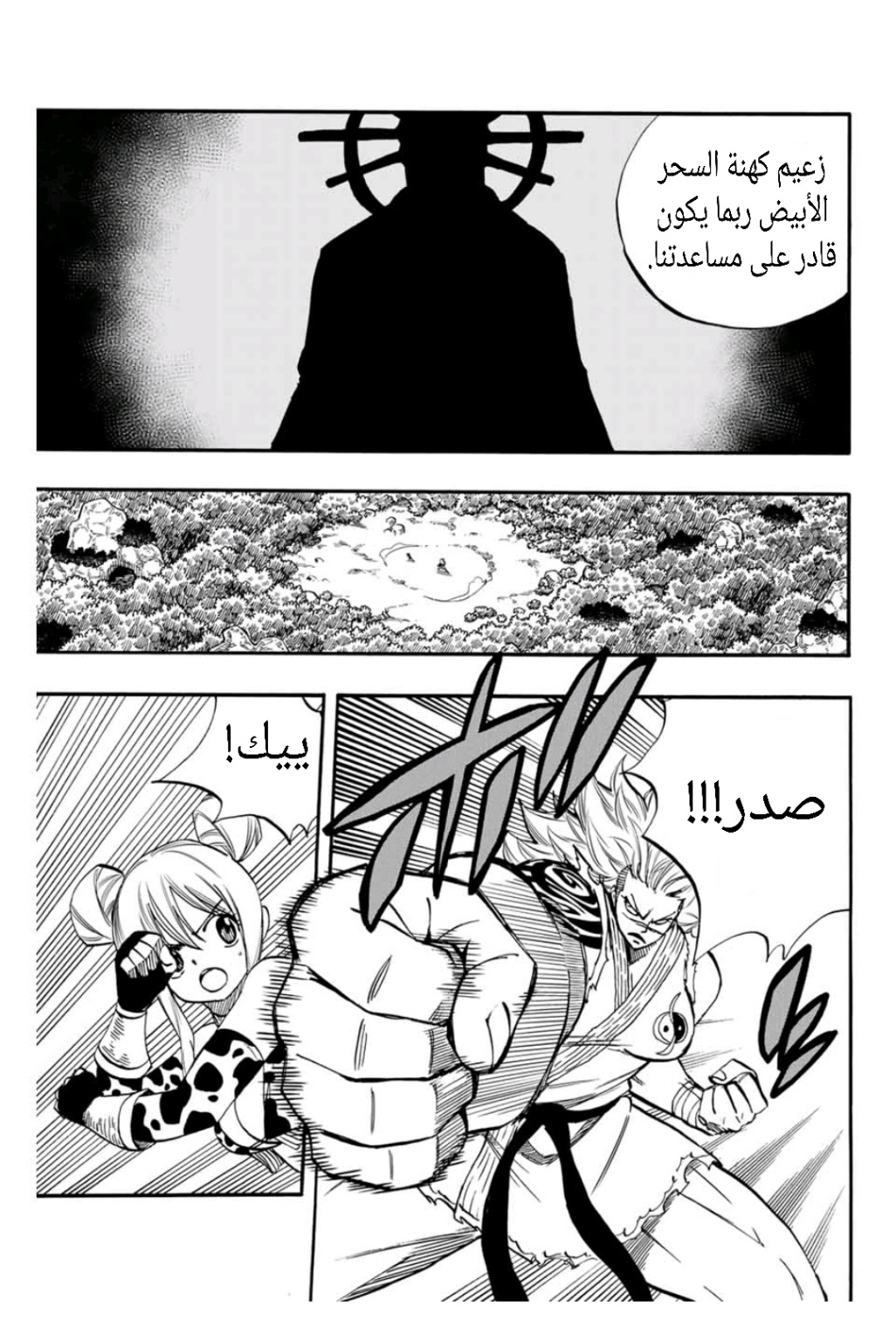 Fairy Tail 100 Years Quest: Chapter 72 - Page 4