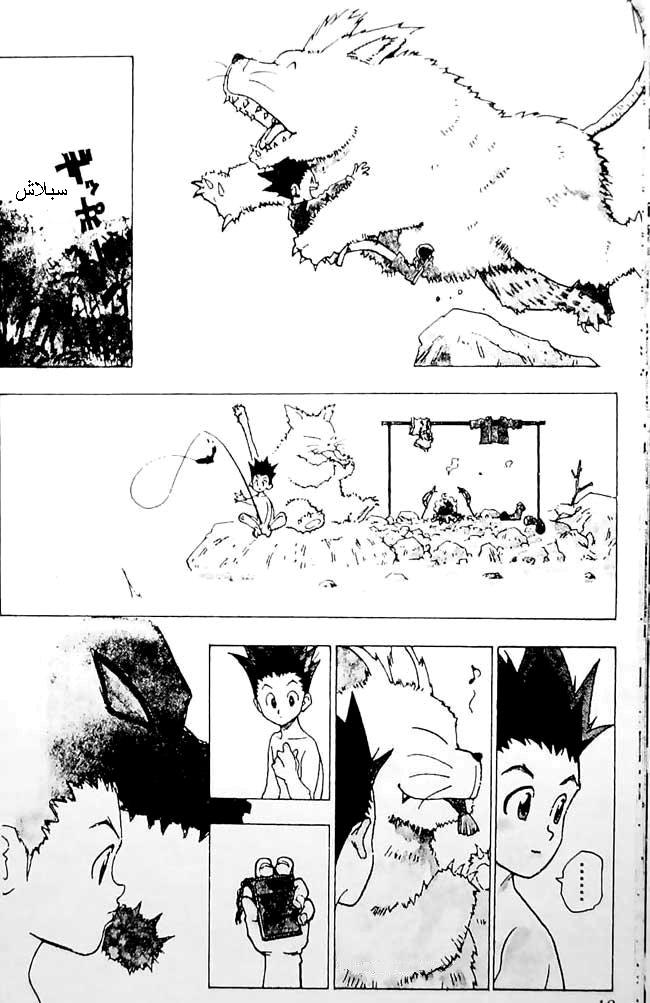 Hunter x Hunter: Chapter 1 - Page 13