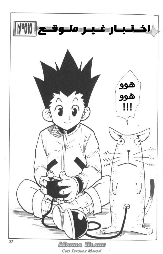 Hunter x Hunter: Chapter 10 - Page 4