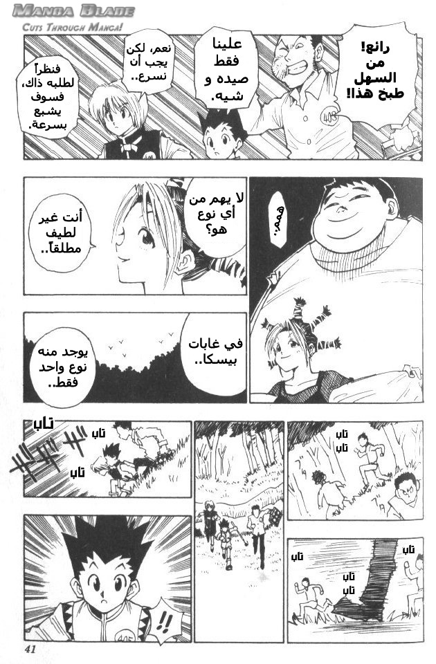 Hunter x Hunter: Chapter 10 - Page 18