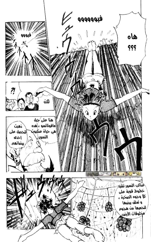 Hunter x Hunter: Chapter 12 - Page 18