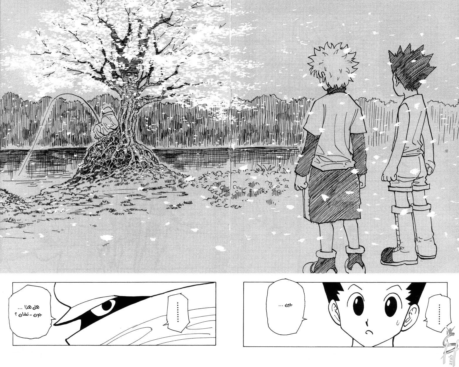 Hunter x Hunter: Chapter 185 - Page 11