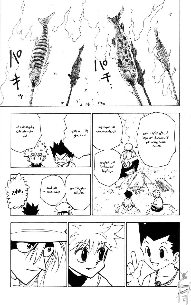 Hunter x Hunter: Chapter 185 - Page 13